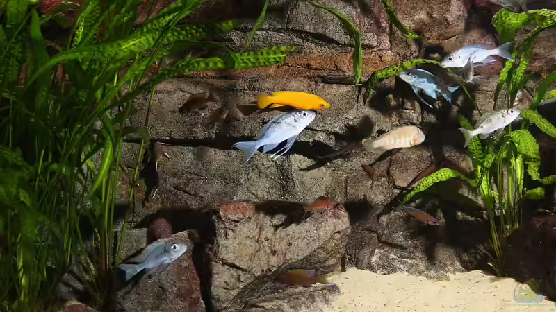 Teilansicht (22.12.2012) von Georg Botz (4)