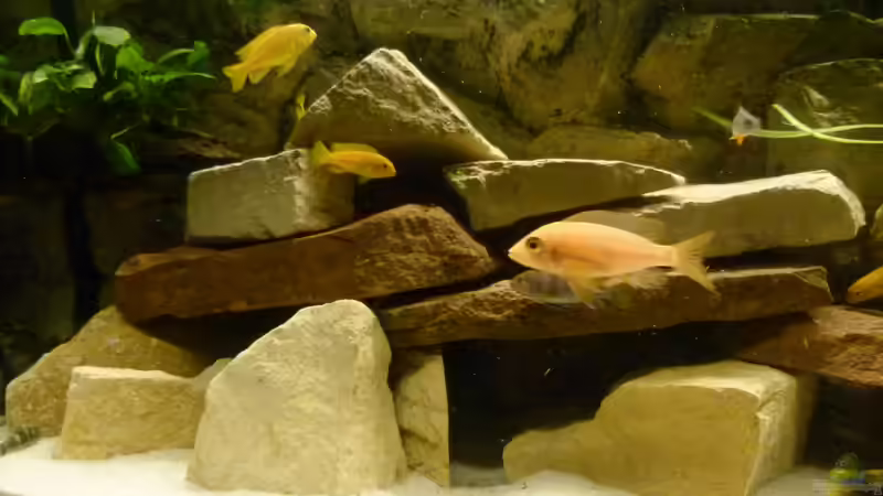 Teilansicht der Steinaufbauten von Malawi-Freunde (6)