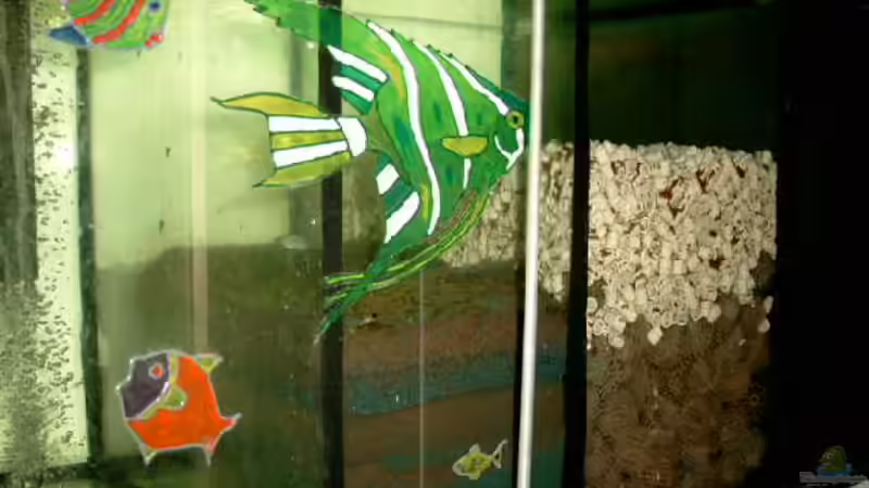 Teilansicht des Filters von Angelika Fabick (7)