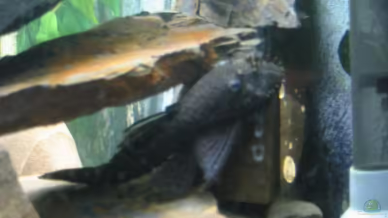 Teilansicht Mitte 2 von Heiko Kazmierczak (6)