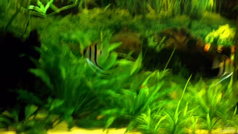 Teilansicht Vision 260 von VeLa (1)