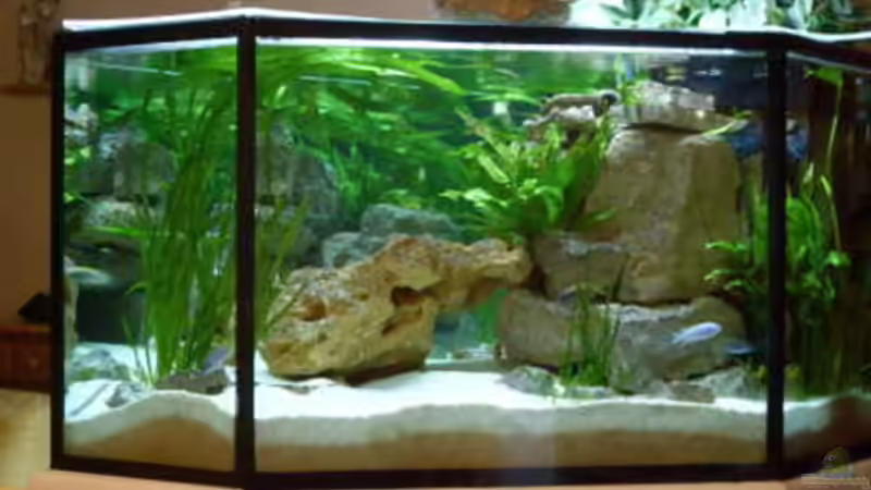 Teilansicht von hinten von Mats (16)