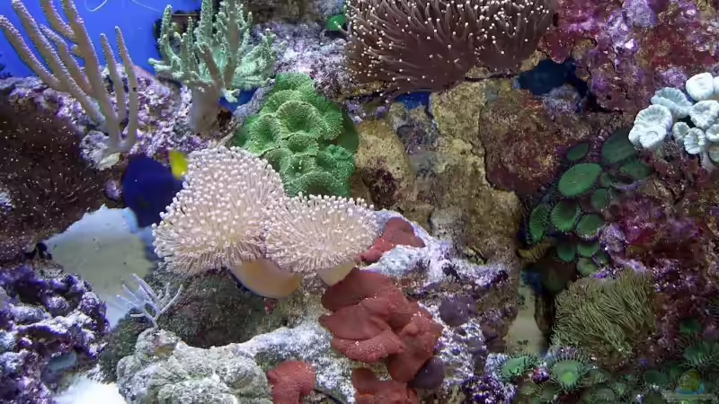 Teilansicht von Petra Kallmeyer (2)