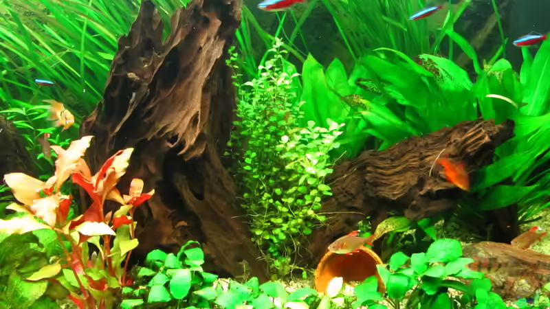 Teilansicht von Sarah (2)