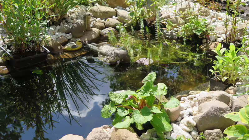 Teilansicht von Thomas Limberg (12)