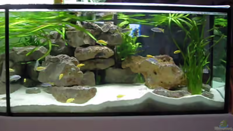 Teilansicht von vorne von Mats (15)