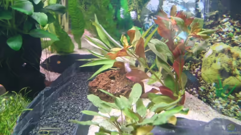 Teilansicht2 von Alexander Engel (6)