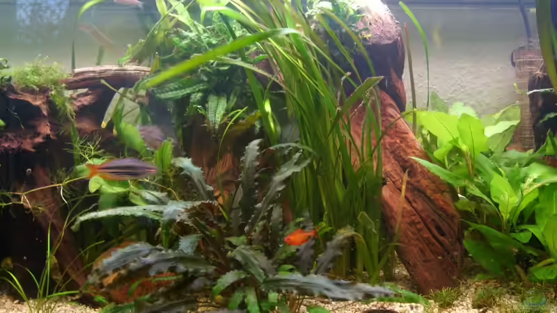 Teilausschnitt von tsmeey (4)