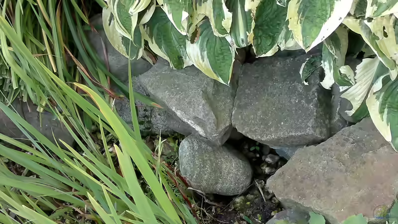 Teile der Trockenmauer von Sambia (40)