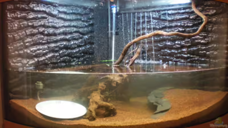 Teilgefüllt mit ´altem´ Wasser von Thomas Ahrens (29)