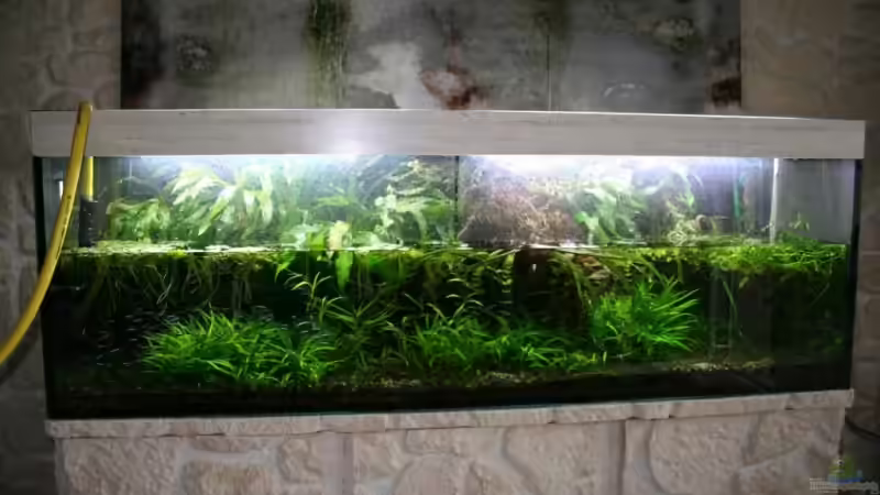 Teilwasserwechsel von @mazonas (38)