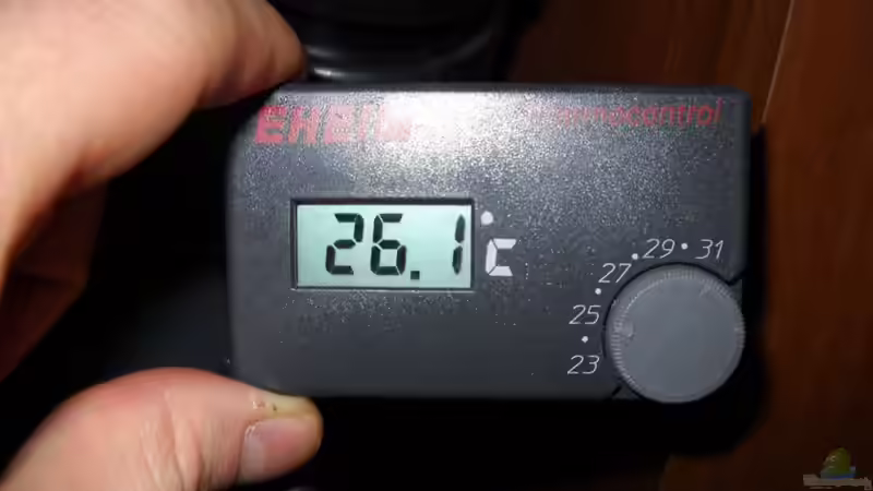 Temparaturanzeige von Flossenbeschauer (11)