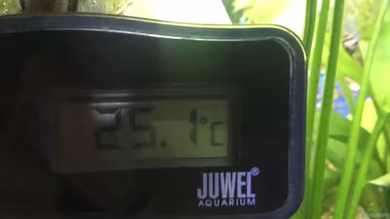 Temperatur müßte passen  von .Andreas. (70)