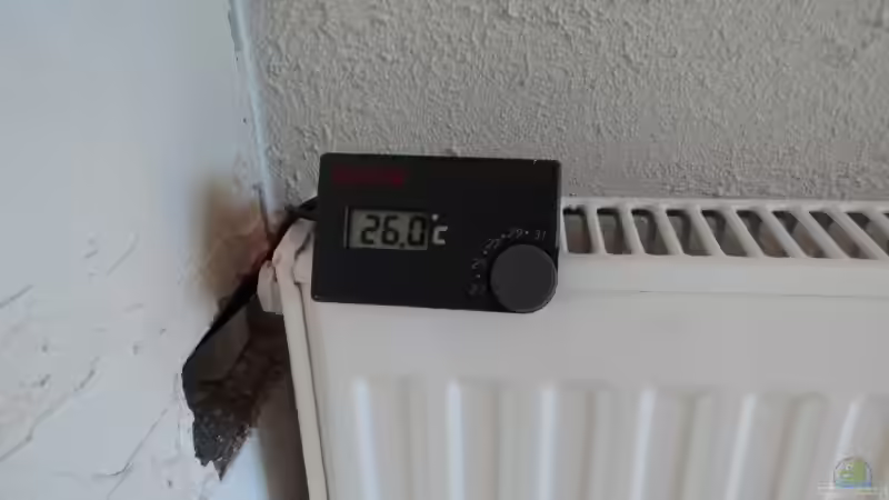 Temperatur re. im Becken von Michael Boeck (51)