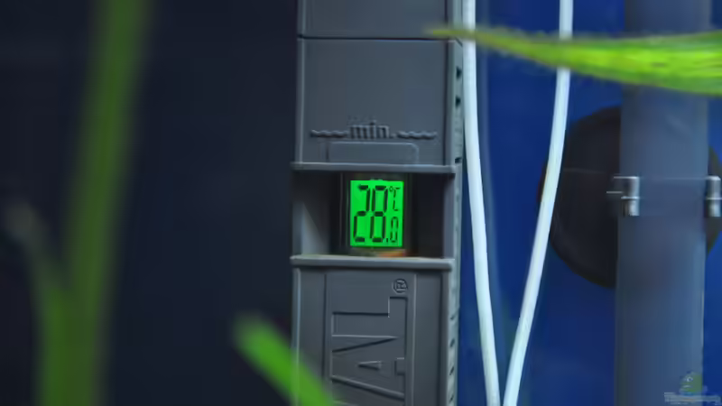 Temperaturanzeige des Heizstabes von Patrick Scheffer (5)