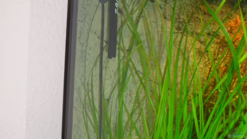 Temperaturfühler, pH Elektrode von Goos (17)