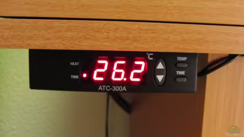 Temperaturregelung von Microsash (9)