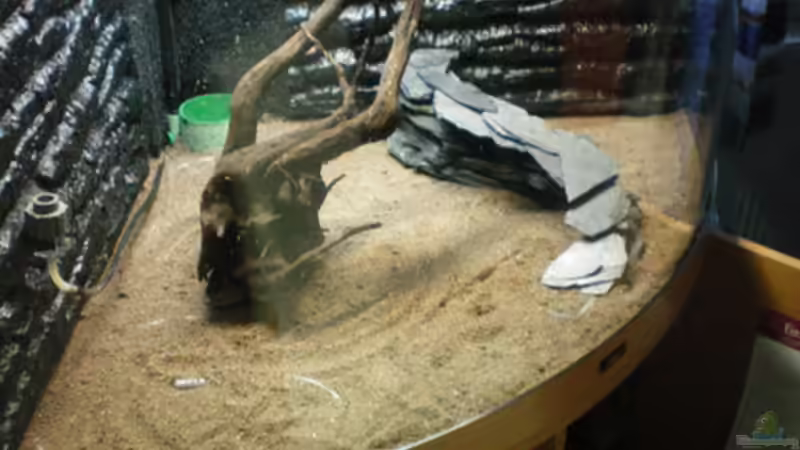 Terasse & Wurzel von Thomas Ahrens (26)