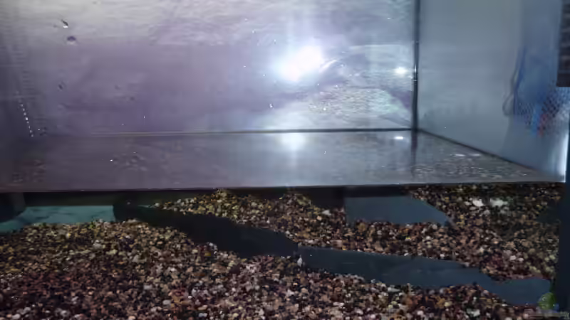 Terassen von Mr.Zogs (3)