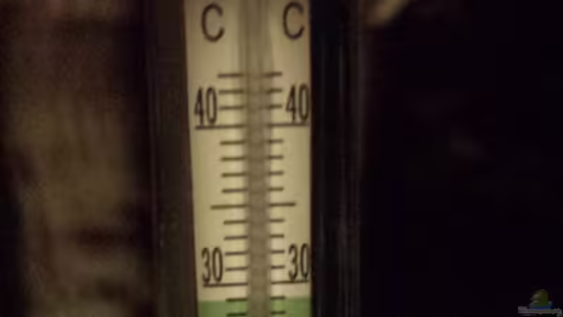 Termo alt da glas gebrochen austausch von Lucky3310 (38)