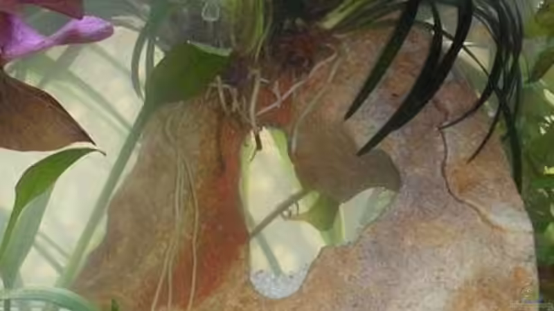 terracotta Lochgestein von mariajudyta (9)