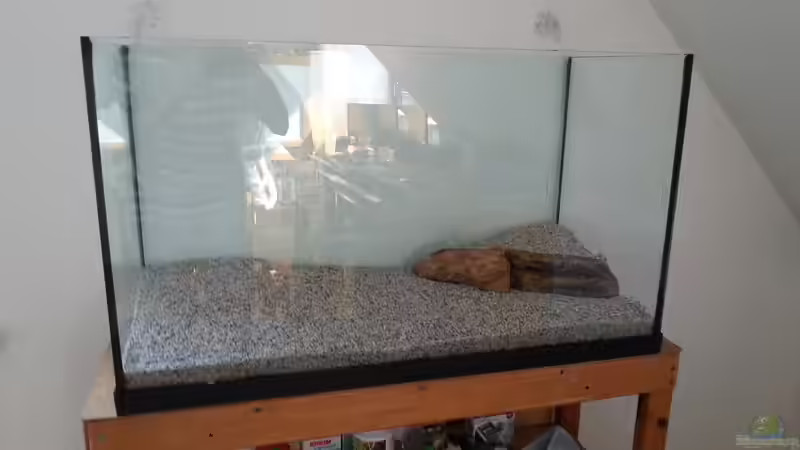 Terrain von Jonas (Trancemania) (13)