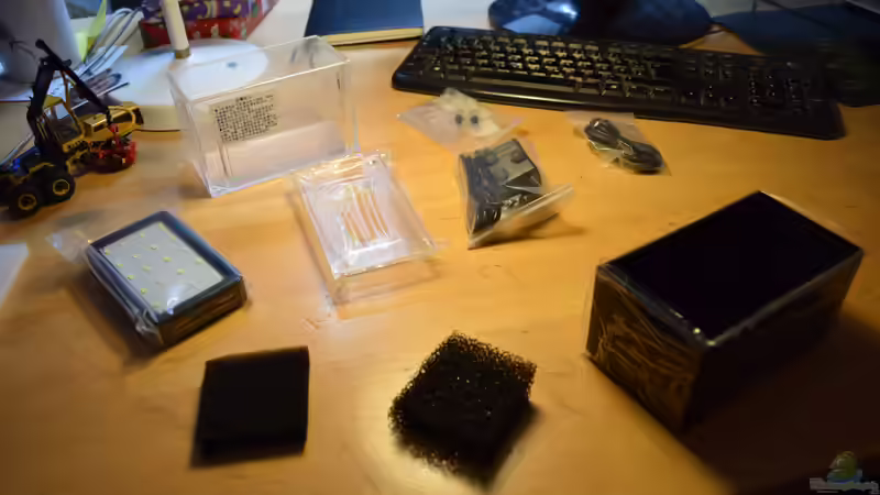 Terrarium 13 x 7,5 x 8 cm aufgelöst von Junglist (3)