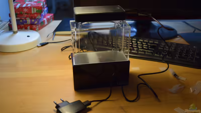 Terrarium 13 x 7,5 x 8 cm aufgelöst von Junglist (4)