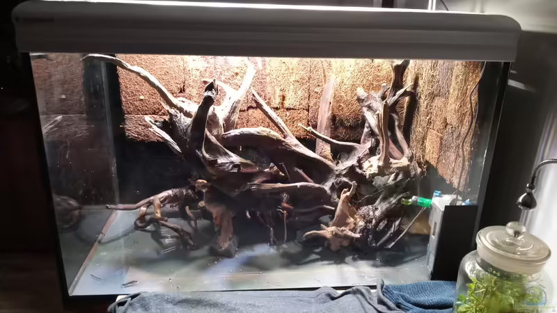 Terrarium Amazonas von Junglist (2)