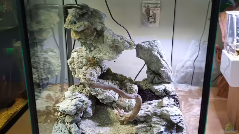 Terrarium Dettifoss von Junglist (4)