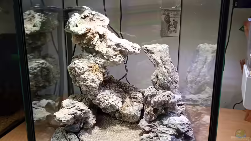 Terrarium Dettifoss von Junglist (5)