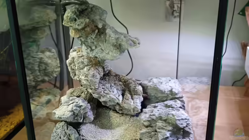 Terrarium Dettifoss von Junglist (6)