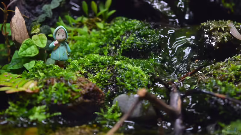 Terrarium Hardangervidda von Junglist (13)