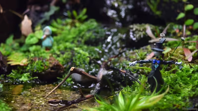 Terrarium Hardangervidda von Junglist (14)