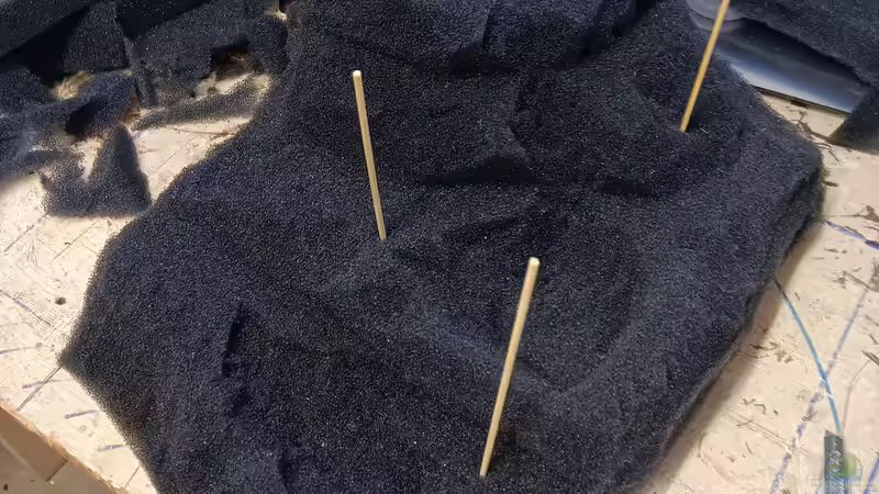 Terrarium Hardangervidda von Junglist (3)