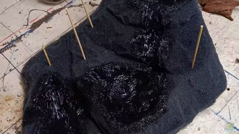 Terrarium Hardangervidda von Junglist (4)