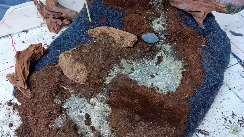 Terrarium Hardangervidda von Junglist (5)