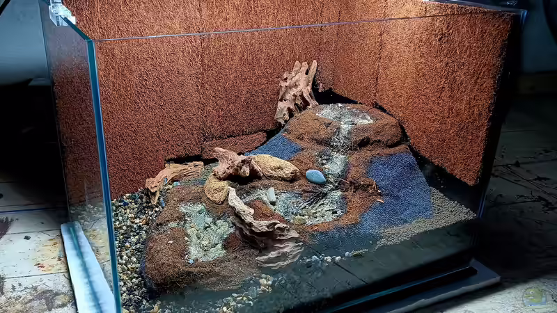 Terrarium Hardangervidda von Junglist (6)