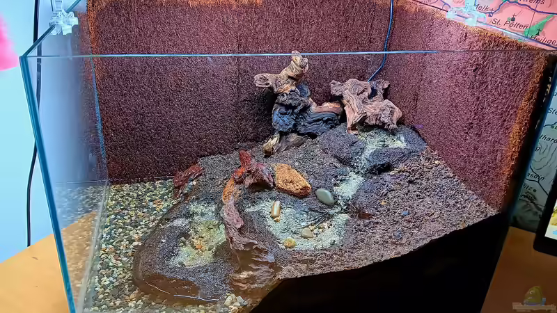 Terrarium Hardangervidda von Junglist (8)