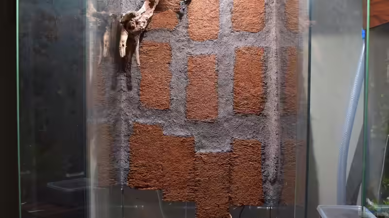 Terrarium Hightower von Junglist (2)