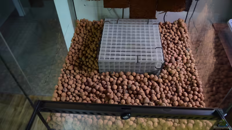 Terrarium Hightower von Junglist (3)