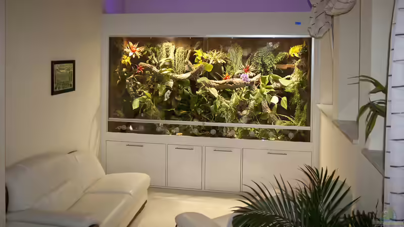 Terrarium im Zimmer von Hoppe-Terrarienbau (2)