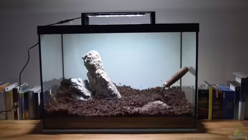Terrarium Iwagumi Style von Junglist (5)