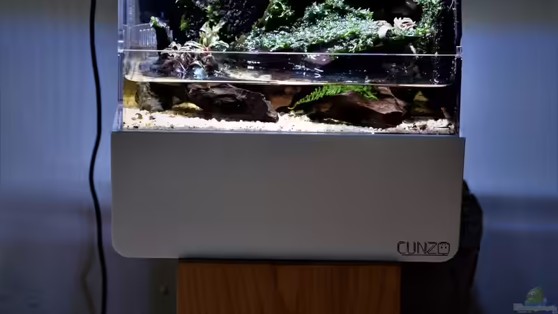 Terrarium Kedagang von Junglist (4)