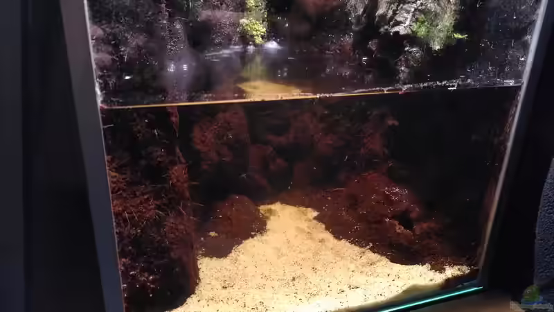 Terrarium Kleine Schlucht von Stephi (17)