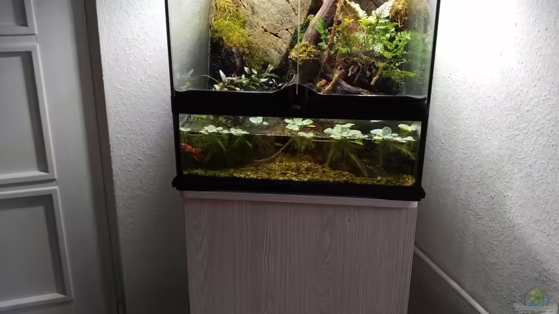 Terrarium mit Unterschrank von aquariumwelt (2)