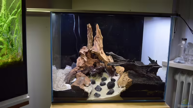 Terrarium Vampirhausen... Verkauft von Junglist (10)