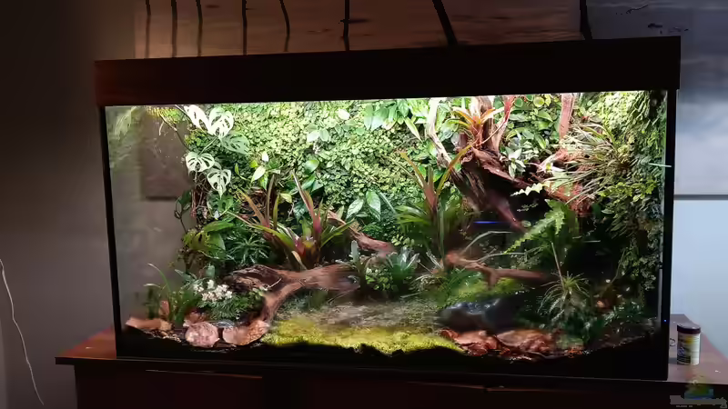 Terrarium Von Asseln und Tausendfüsslern von Junglist (13)