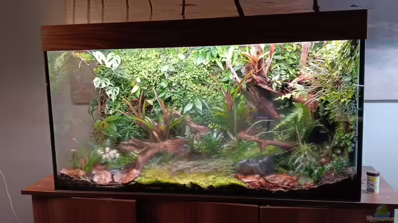 Terrarium Von Asseln und Tausendfüsslern von Junglist (14)