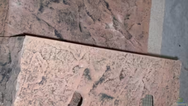 Terrasee im Trockenen von Frank Krüger (8)